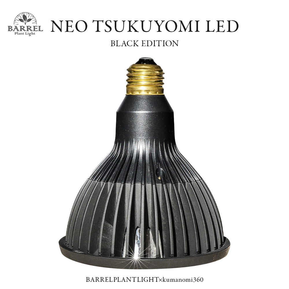 BARREL, barrel, バレル, TSUKUYOMI, tsukuyomi, ツクヨミ, 植物 BARREL, barrel, バレル, TSUKUYOMI, tsukuyomi, ツクヨミ, 植物