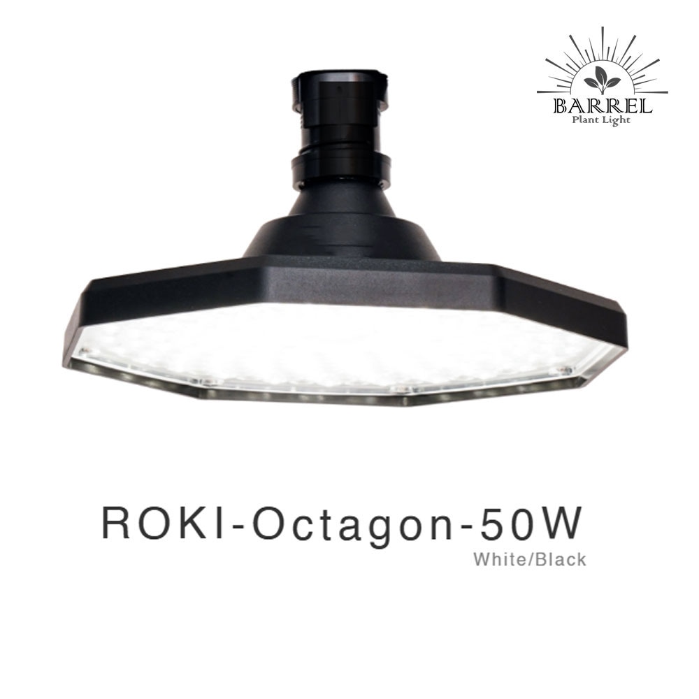 BARREL, barrel, バレル, ROKI, octagon, オクタゴン, 植物育成 BARREL, barrel, バレル, ROKI, octagon, オクタゴン, 植物育成