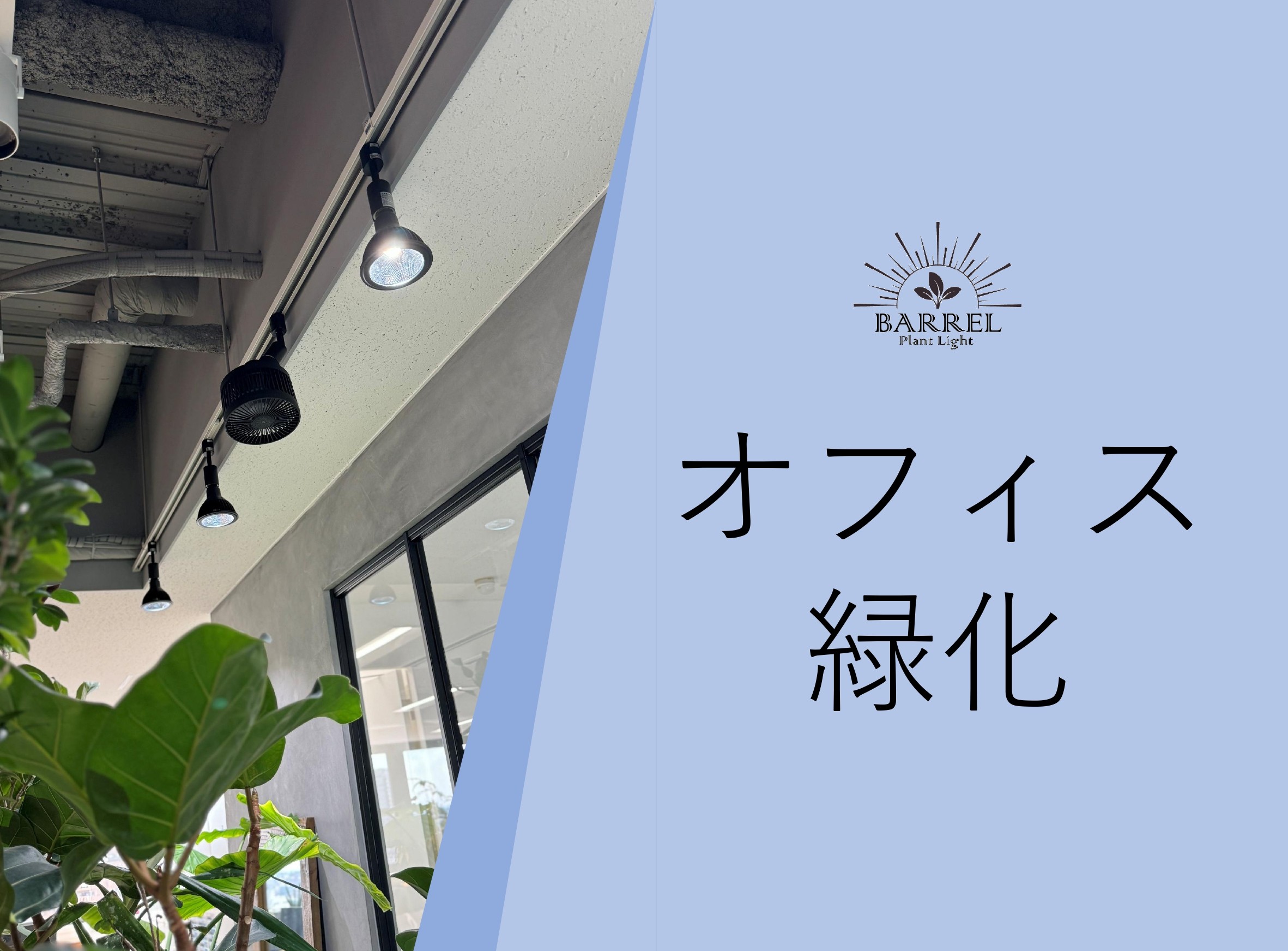 オフィス　緑化