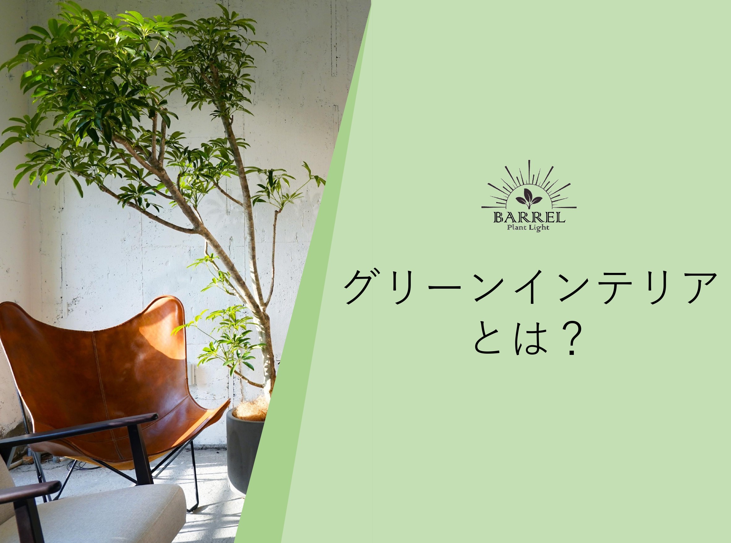 グリーンインテリア