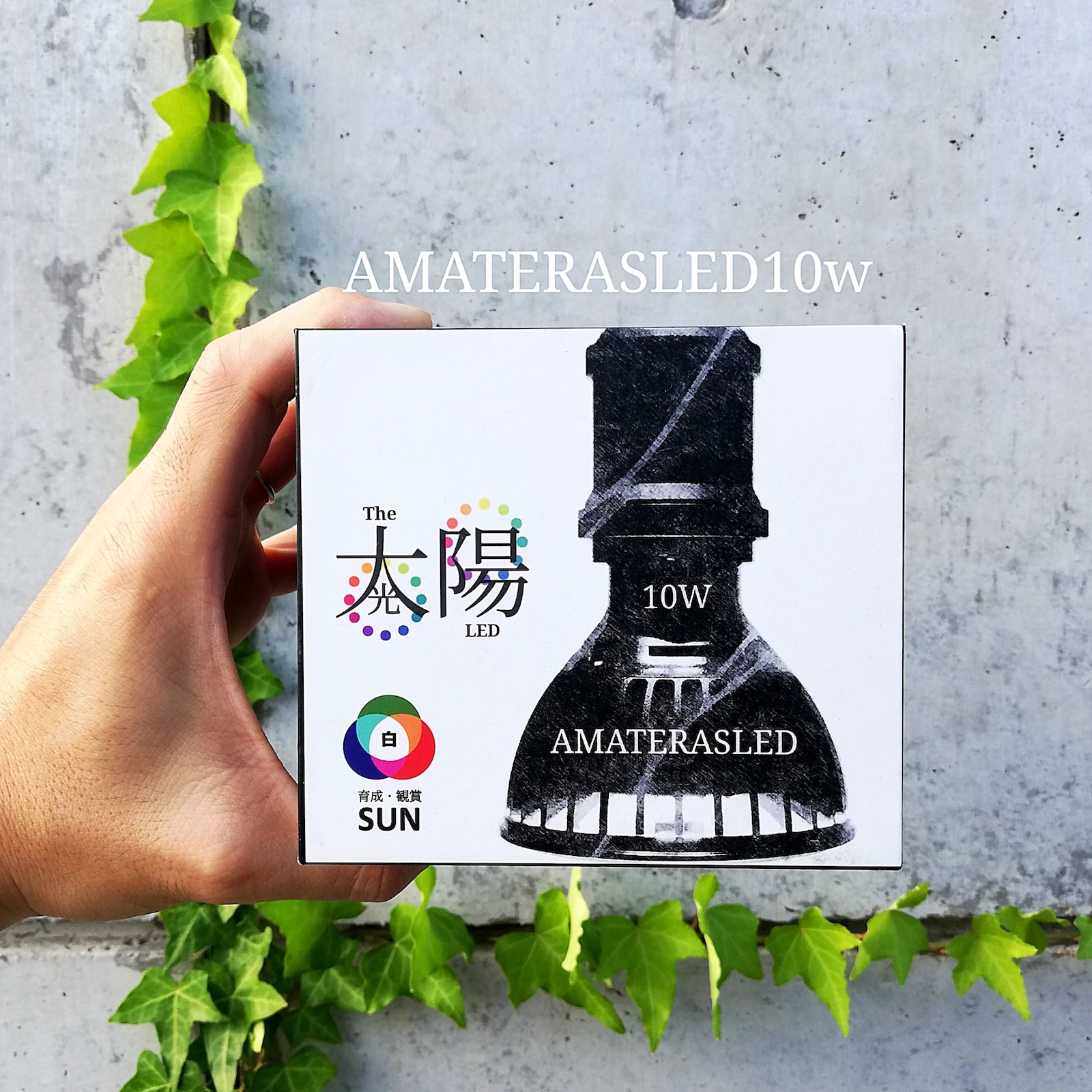 BARREL, barrel, バレル, AMATERAS, amateras, アマテラス, 植物