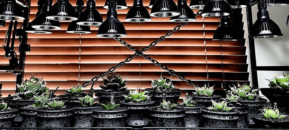 購入お買い得 BARREL 屋内で植物が育つ LED植物育成スタンドランプ その他ガーデニング、園芸用品