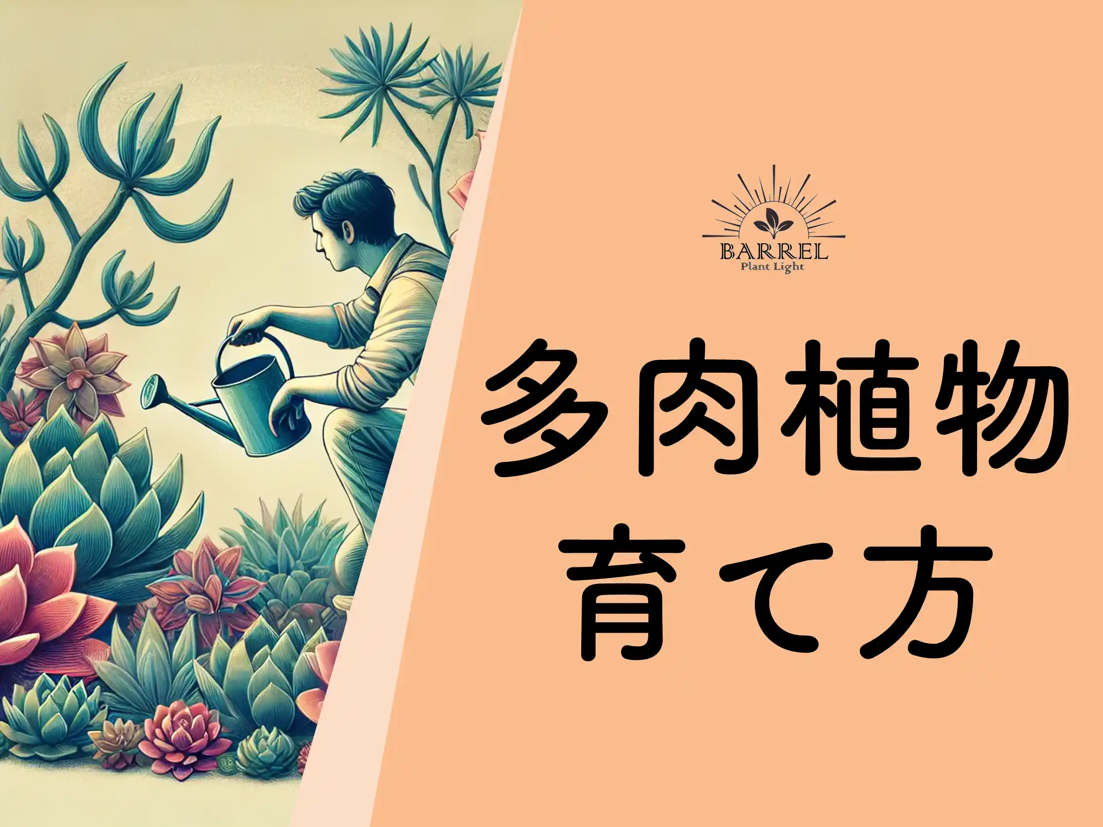 多肉植物の育て方を知ろう！初心者でも大きく育てられる秘訣とは？