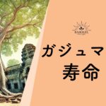 ガジュマルの寿命は100年超！長寿の理由と長生きする育て方を解説