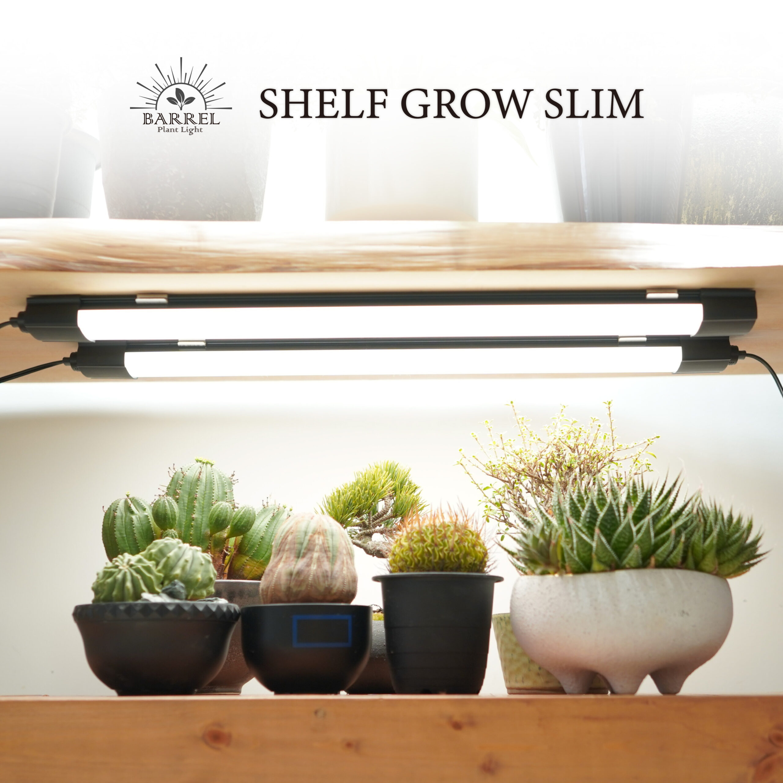 shelf-grow-slim-page-01-scaled.jpg shelf-grow-slim-page-01-scaled.jpg